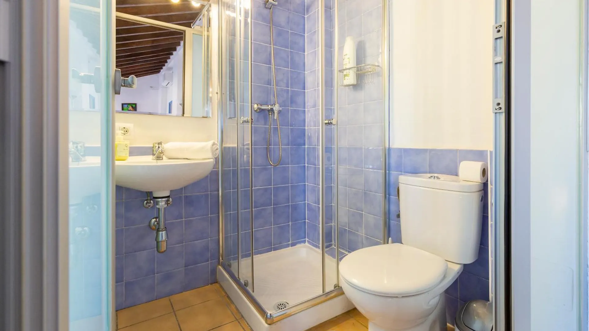 Descubrehome Penthouse Santa Cruz, Private Terrace Seville Apartment